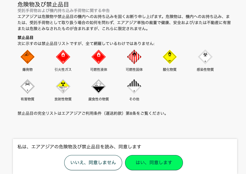 エアアジア(Airasia)のオンラインチェックイン同意2