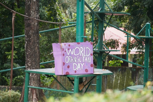 マレーシアのネガラ動物園のオラウータン