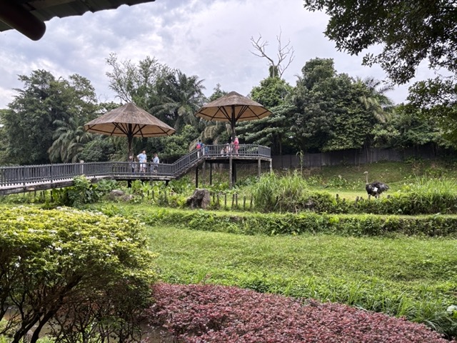 マレーシアのネガラ動物園のサバンナ